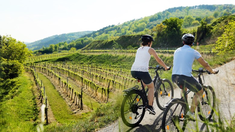 Paar fährt mit dem Rad vorbei an Weinreben