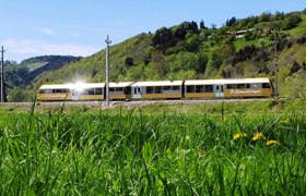 Goldener Zug fährt an grüner Blumenwiese vorbei