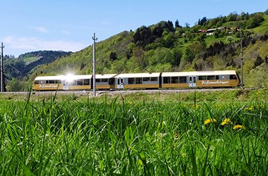 Goldener Zug fährt an grüner Blumenwiese vorbei